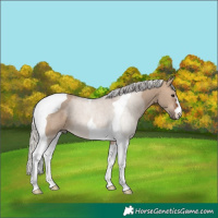 Horse Color:Silver Brown Dun Tobiano