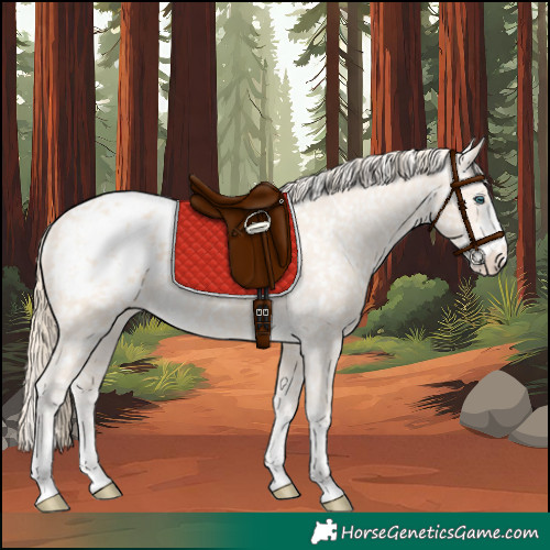 Horse Color:Perlino Appaloosa  and Perlino Appaloosa 