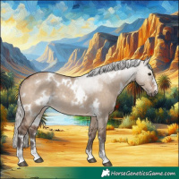 Horse Color:White Spotted Silver Brown Dun Rabicano