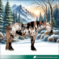 Horse Color:Powder White Void White Spotted Red Dun Ice Rabicano 