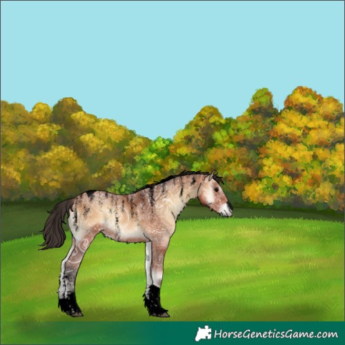 Horse Color:Powder White Void Bay Ice Onyx Tobiano Rabicano 