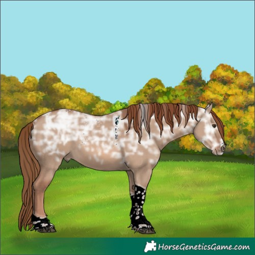 Horse Color:Powder White Red Dun Ice Tobiano Rabicano 