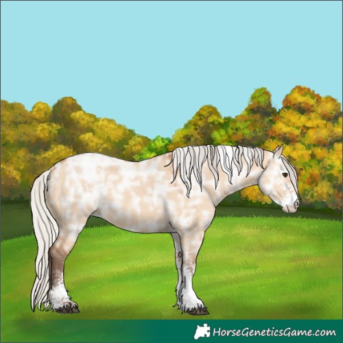 Horse Color:Powder White Silver Bay Ice Dun Rabicano 