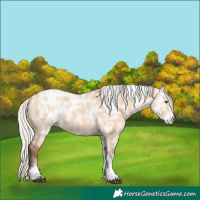 Horse Color:Powder White Silver Bay Ice Dun Rabicano 