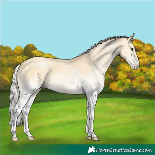 Horse Color:White Spotted Silver Amber Cream Champagne Dun 