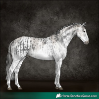 Horse Color:Gray White Spotted Black  and Gray White Spotted Classic Champagne 