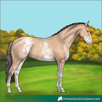 Horse Color:White Spotted Amber Champagne 