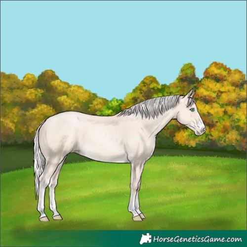 Horse Color:Silver Amber Cream Champagne Pearl 