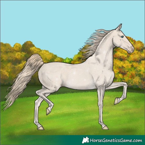 Horse Color:Smoky Creme 