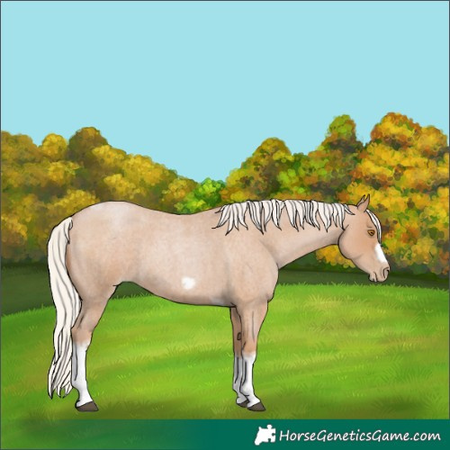 Horse Color:Silver Blue Roan Pearl Tobiano Frame 