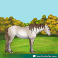 Horse Color:Gray Smoky Grullo Pearl 