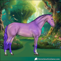 Horse Color:Watercolor Buckskin Tobiano