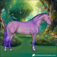 Horse Color:Watercolor Buckskin Tobiano 