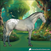 Horse Color:Watercolor Buckskin Appaloosa 