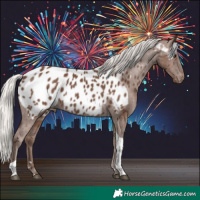 Horse Color:Silver Black Tobiano Near Leopard 