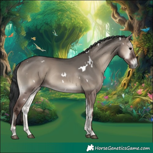 Horse Color:White Spotted Grullo Onyx Rabicano 