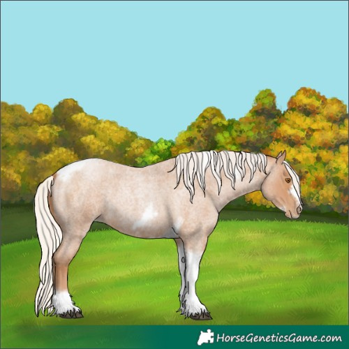 Horse Color:Silver Blue Roan Pearl Tobiano Frame 