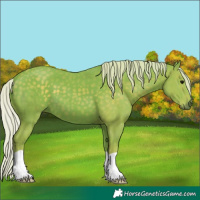 Horse Color:Watercolor Silver Black 