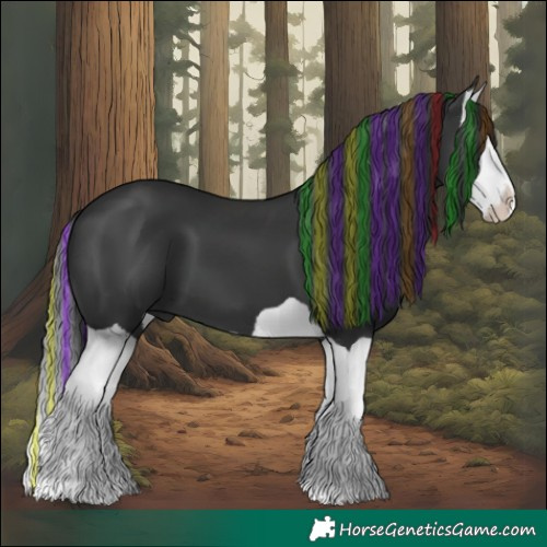 Horse Color:Painted Black Splash 