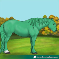 Horse Color:Watercolor Black 