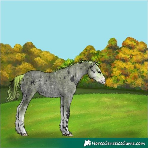 Horse Color:Void Watercolor White Spotted Gold Champagne Ice Roan Pearl Onyx 