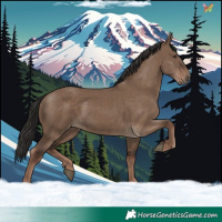 Horse Color:Liver Red Dun Rabicano 