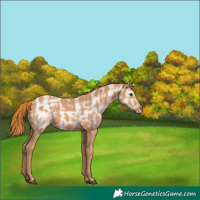 Horse Color:Chestnut Ice 
