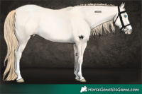Horse Color:Bay Snowdrop Pearl