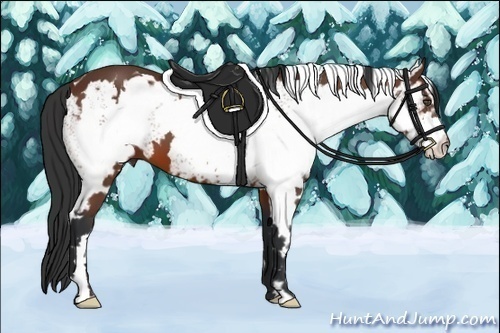 Horse Color:White Spotted Bay Frame