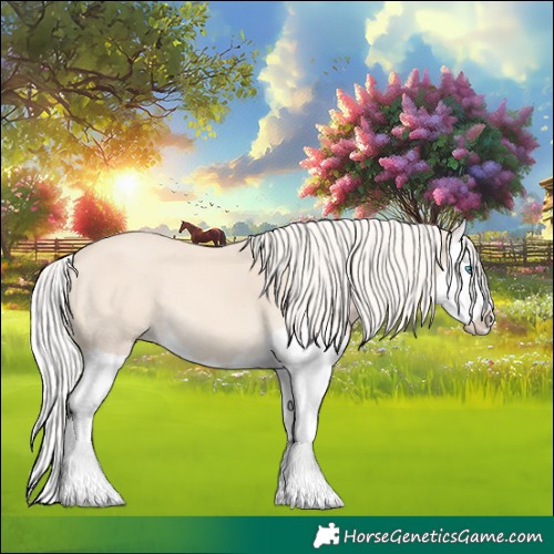 Horse Color:Cremello Splash 