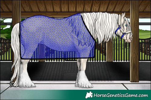 Horse Color:Cremello 