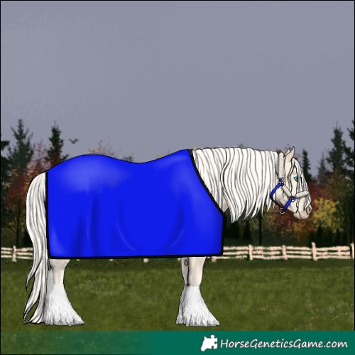 Horse Color:Cremello