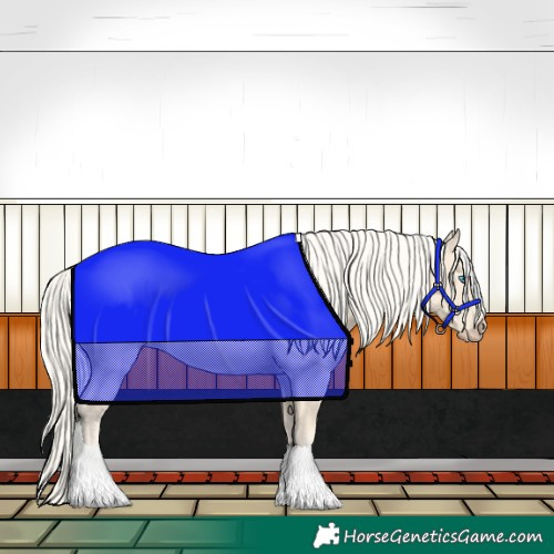 Horse Color:Cremello 