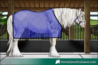 Horse Color:Cremello 