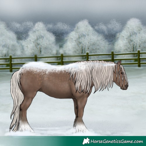 Horse Color:Silver Black