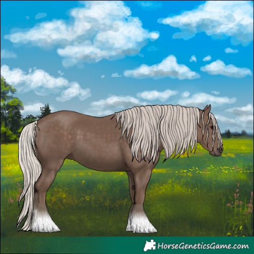 Horse Color:Silver Black 