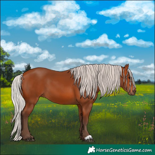 Horse Color:Silver Bay 