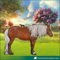 Horse Color:Silver Bay 