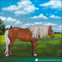 Horse Color:Silver Bay
