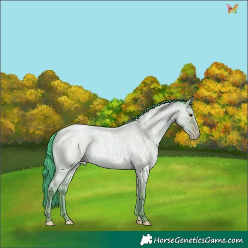 Horse Color:Watercolor Classic Champagne Roan Dun Rabicano 