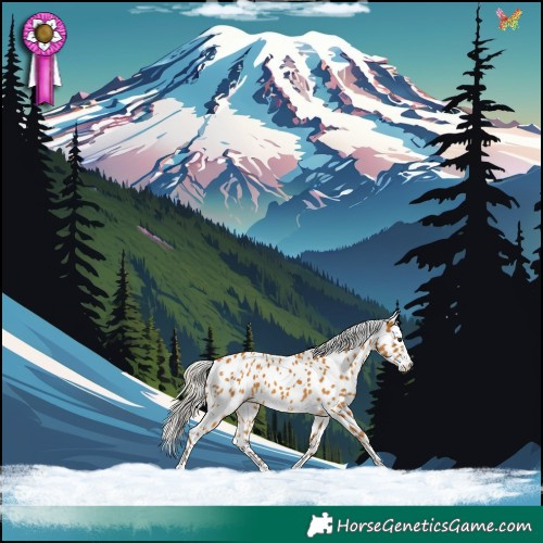 Horse Color:White Spotted Silver Buckskin Sabino Leopard 