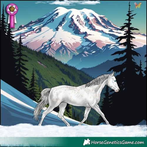 Horse Color:Silver Smoky Black Pearl Sabino Splash Near Leopard 