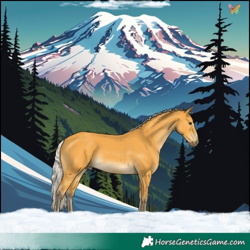 Horse Color:Silver Buckskin 