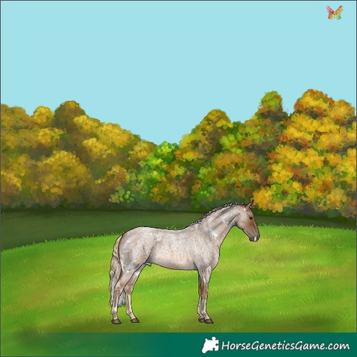 Horse Color:White Spotted Chocolate Palomino Roan 