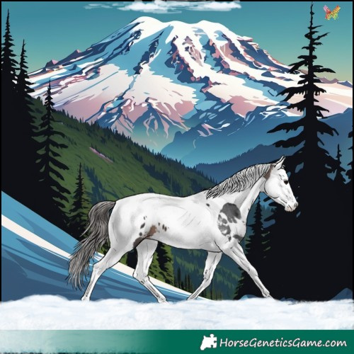 Horse Color:White Spotted Brown Splash Tobiano Blanket 