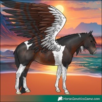 Horse Color:Brown Tobiano