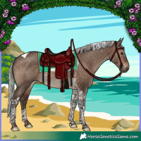 Horse Color:Silver Brown Dun Tobiano Rabicano 