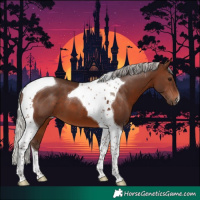 Horse Color:Silver Brown Tobiano 