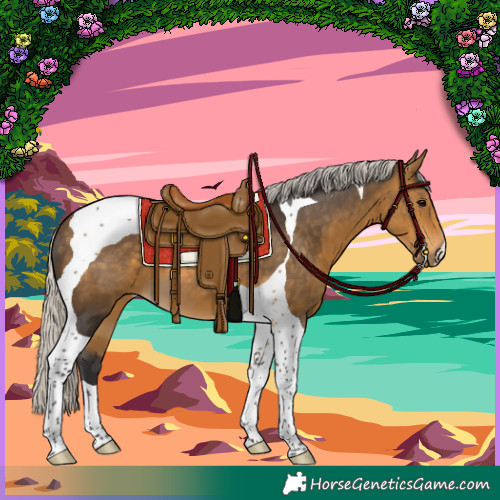 Horse Color:Silver Buckskin Tobiano