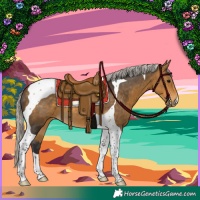 Horse Color:Silver Buckskin Tobiano 